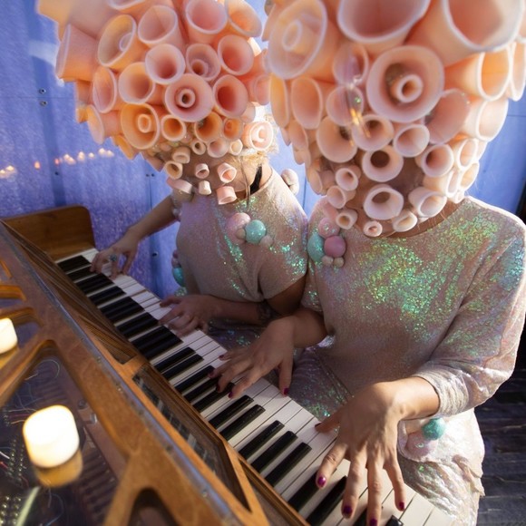 Meet your Posher, Bee - Picture 1 of 1